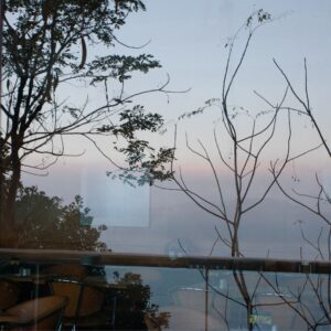 Create Memorable Dining Experiences