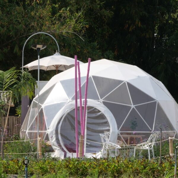 Geodesic dome in garden
